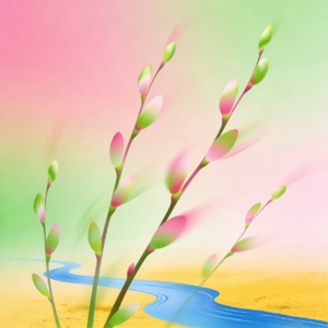 Vol.14【剖析】健康天注定？玄学破解你隐藏的先天疾病密码