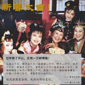 034」红楼梦过大年,有一万种复杂情绪