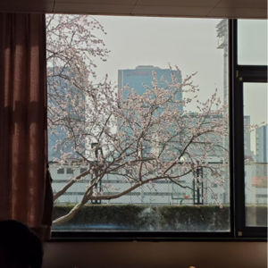 5 读博是一人修行,还是让我们双人成行?