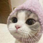 番茄你个偷妈头
