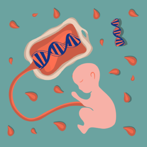 克罗地亚家庭脐带血移植获转机