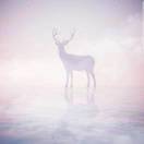 鱼香肉丝很好吃