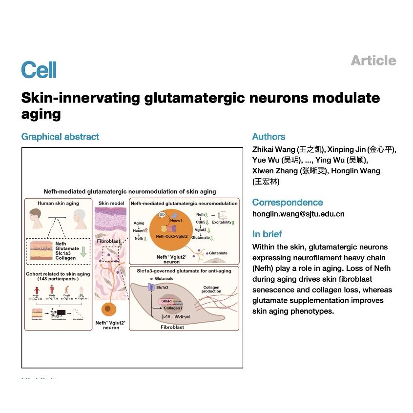 1491-Glutaminergic Neuromodulation of Skin Aging episode artwork