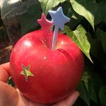 原来是一颗苹果啊
