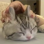 憶星星