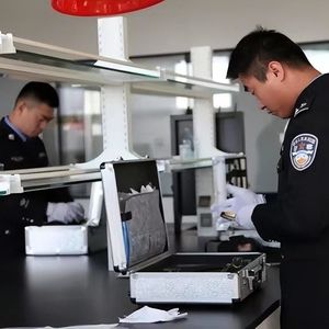 新中国成立后,我国至今未破的大案、要案有哪些?