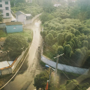 29. 提前年终总结