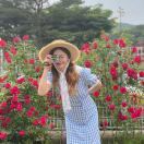 Dream_5Ymd