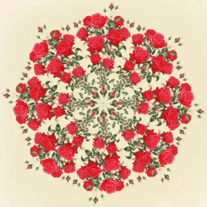 深度冥想｜如何处理自己的情绪