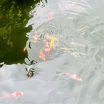 钢筋怪里的哆啦A梦