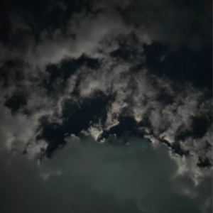 鬼台第506期：蝙蝠撞了我的腰