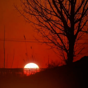 Vol.032 让我看看你那里的夕阳：来自一个群的温暖