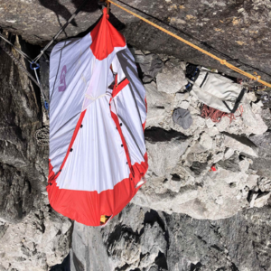 个人总结和新年flag