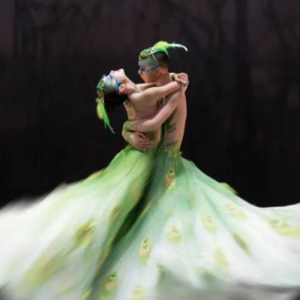 7. 对话杨丽萍:舞者之间的传承是很自然的事,就像是小孔雀看见大孔雀开屏