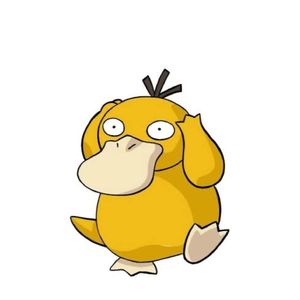 时时拖更可达鸭