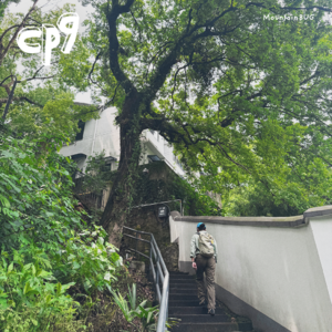 CP9. 西湖标毅线(三)山中奇谈