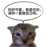 你命由你