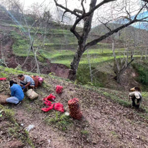 EP05 山与回声×付美军×李沐霖 | 艺术向左，生活向右，大理艺术家的慢生存样本