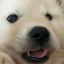 江樾_