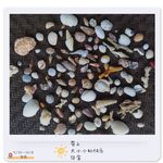 TUDOU_YOLO