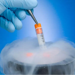 冻卵:冰封的谎言还是自由的承诺?