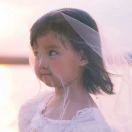 HD555768z