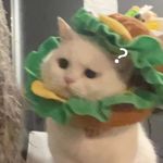 请给我一碗蛋炒饭