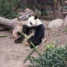 陈橙橙_VBht