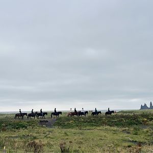 生活艺术家饼女士