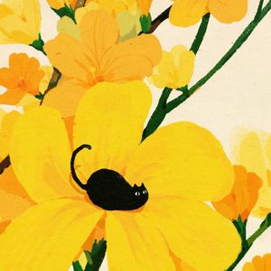 加湿器加点蜂蜜