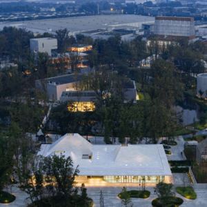 建筑师王宁：在建筑与自然间发酵