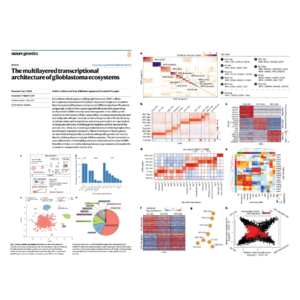 013-Glioblastoma Ecosystems