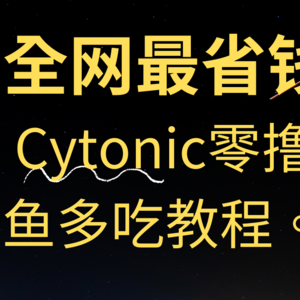 Cytonic精讲【15000刀重仓】最低存200刀的USDT/BTC/ETH/SOL，获野村Hayes投资800w刀