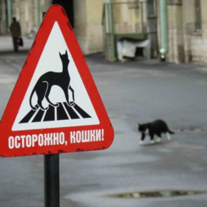 我心目中江南概念的演变