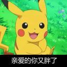 二丁小司马