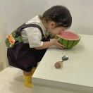 小纪小纪守法遵纪