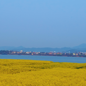 Vol.14 母女共读：何处无飞鸟集？但少闲人如吾两人者耳