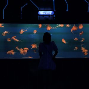 podcaster-avatar