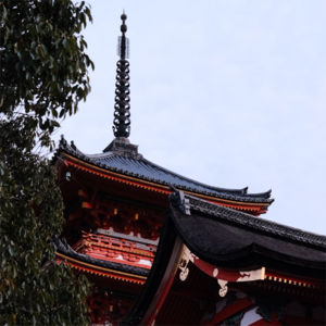 Vol 06. 开启一场松弛的京都旅行吧!(行程趣事篇)