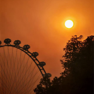 保险“划算”吗？从《逆行人生》看保险人生