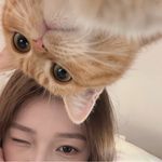 佛系少女黄橙子