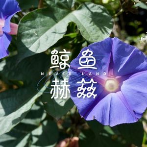Vol.46 春天开了那么多花，什么时候才能吃到啊？