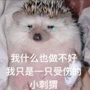 扁扁肉
