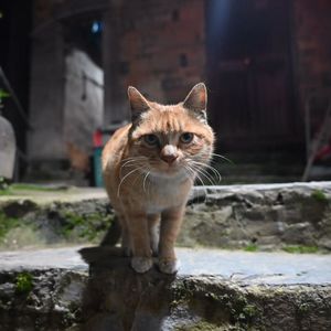 基辅遇袭与政策收紧,全球局势如何演变?| 20260404