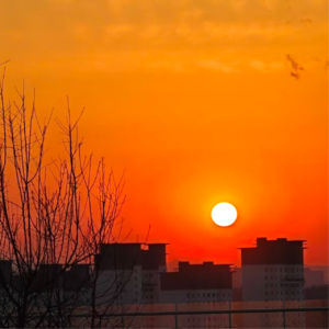 96 如何把能量拿回来：清空大脑内精神待办