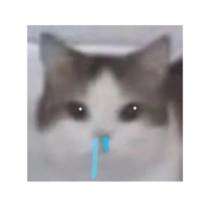 想哭,为什么鼻炎总治不好