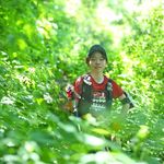 思念心随风
