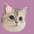 Cecily_5tss
