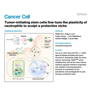 357-SOX2-Driven Niche Sculpts Neutrophil Immunosuppression