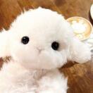 小存_YvKj